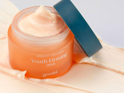 Bifida Repair Complex Kit