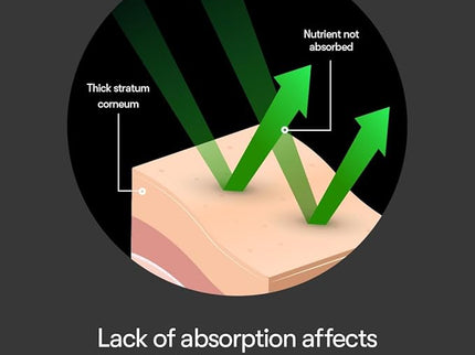 VT Reedle Shot 100 50ml