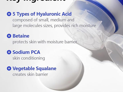 ISNTREE Hyaluronic Acid Aqua Gel Cream 100ml
