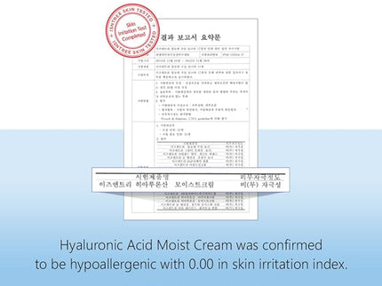 ISNTREE Hyaluronic Acid Moist Cream 100ml