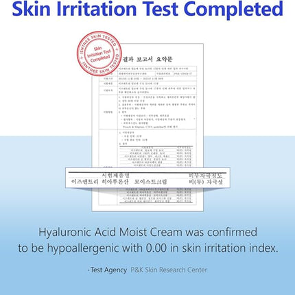 ISNTREE Hyaluronic Acid Moist Cream 100ml