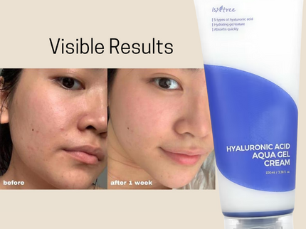 ISNTREE Hyaluronic Acid Aqua Gel Cream 100ml
