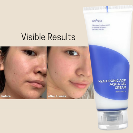 ISNTREE Hyaluronic Acid Aqua Gel Cream 100ml